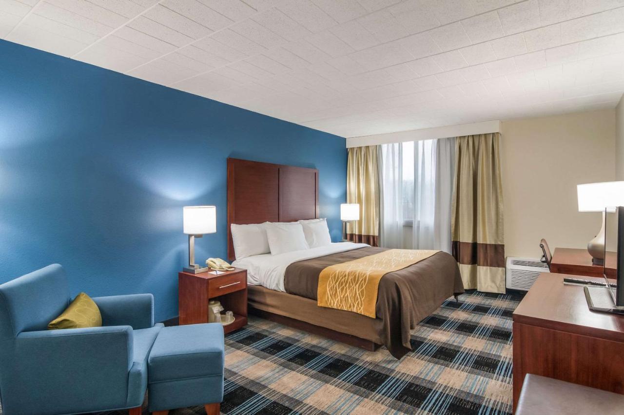 Comfort Inn & Suites Montrose Hill Екстер'єр фото