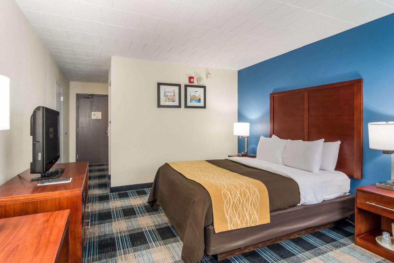 Comfort Inn & Suites Montrose Hill Екстер'єр фото