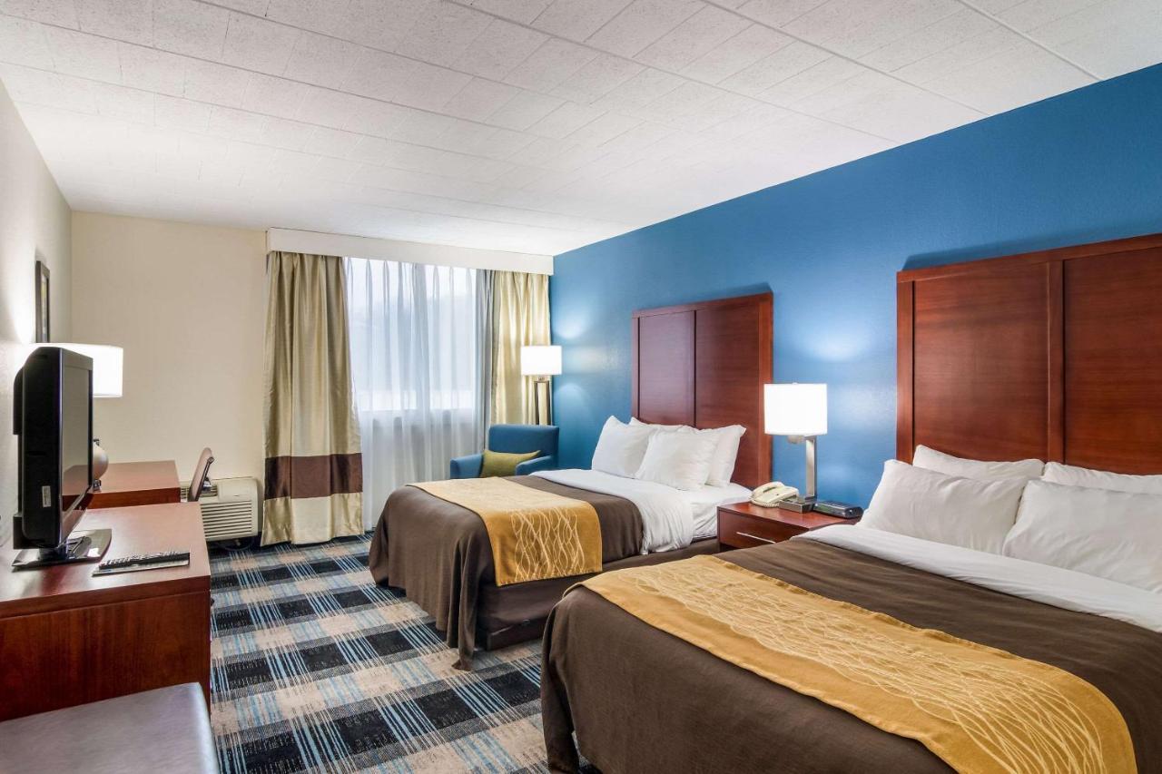 Comfort Inn & Suites Montrose Hill Екстер'єр фото