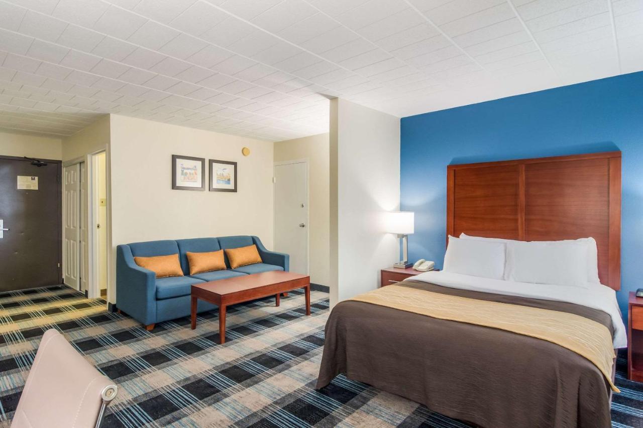 Comfort Inn & Suites Montrose Hill Екстер'єр фото