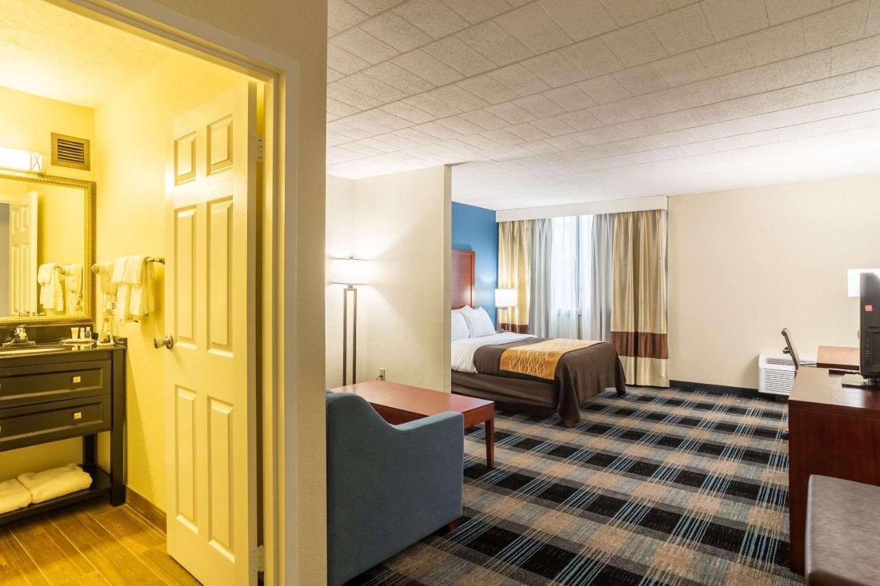 Comfort Inn & Suites Montrose Hill Екстер'єр фото
