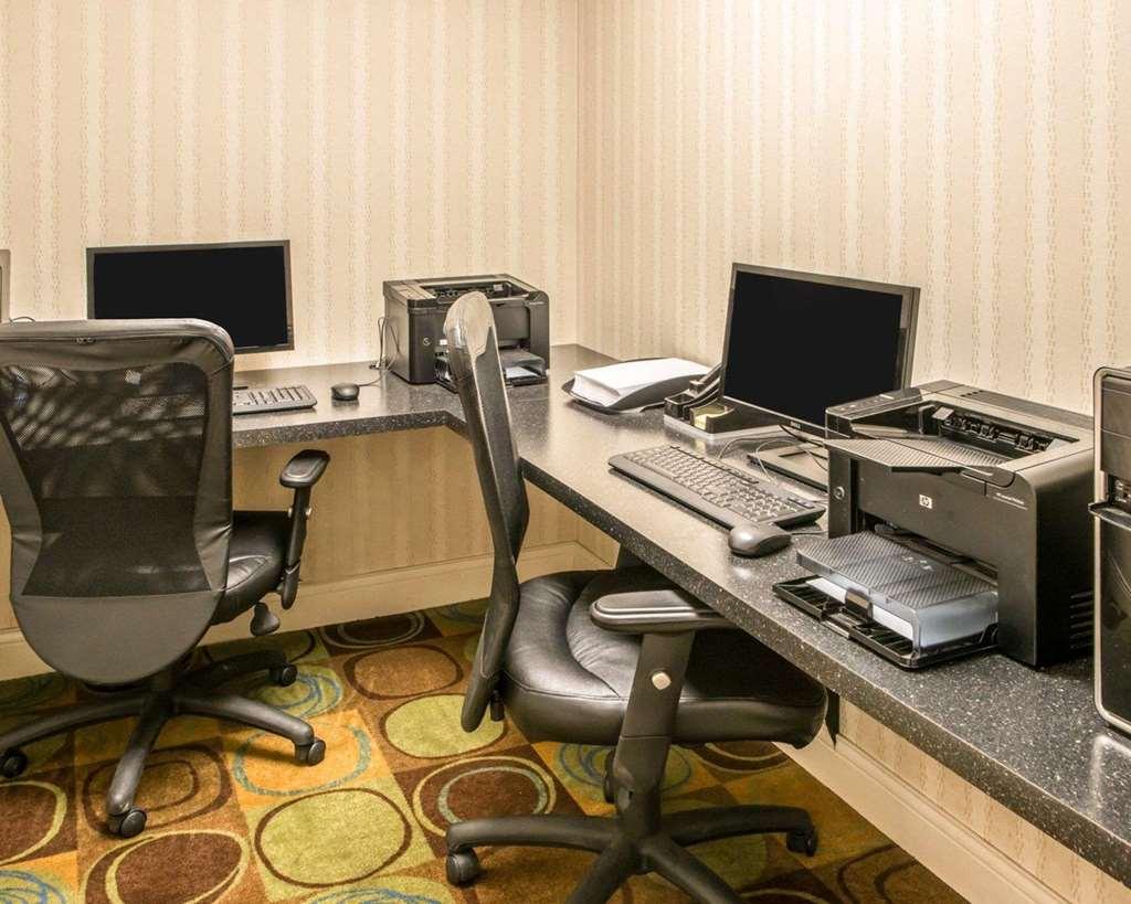 Comfort Inn & Suites Montrose Hill Зручності фото