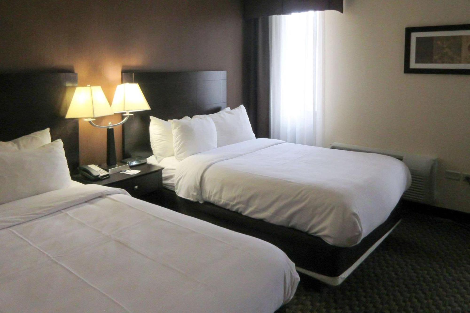 Comfort Inn & Suites Montrose Hill Екстер'єр фото